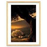 The Hill thumbnail
