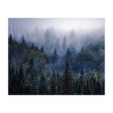 The Visionary Echo (Print Only) thumbnail