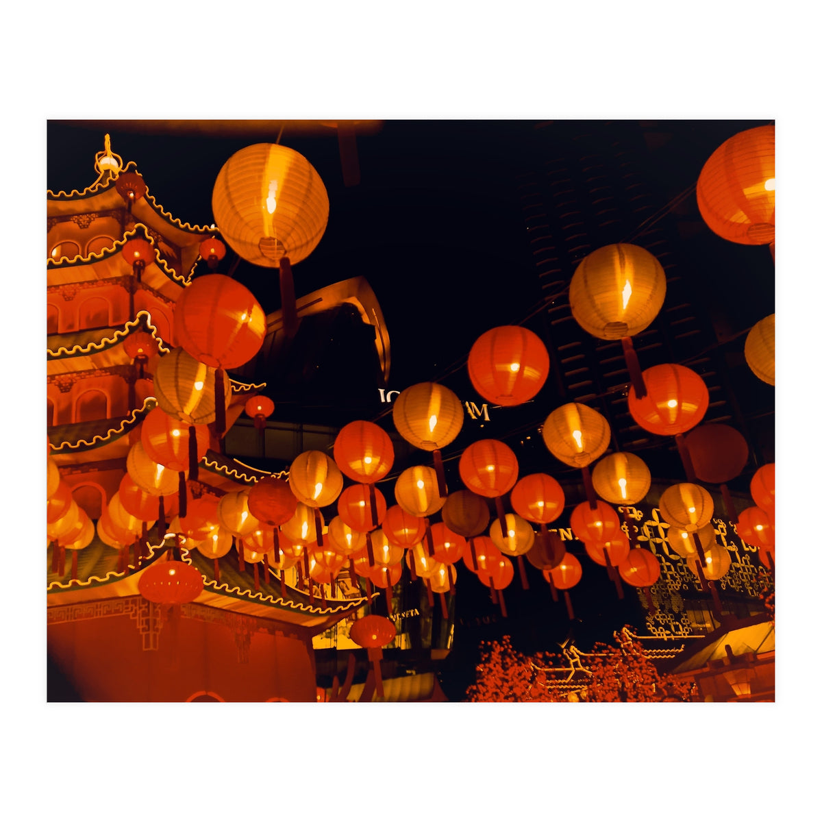 Light The Way (Print Only)