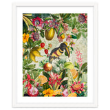Toucan vintage jungle thumbnail
