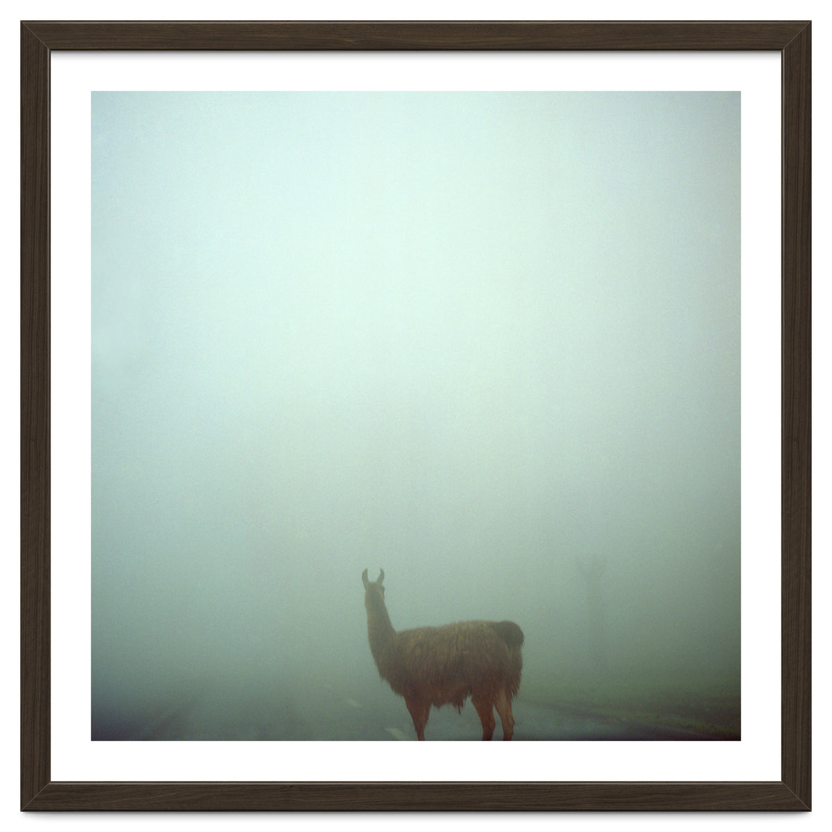 Silence of breath - 04