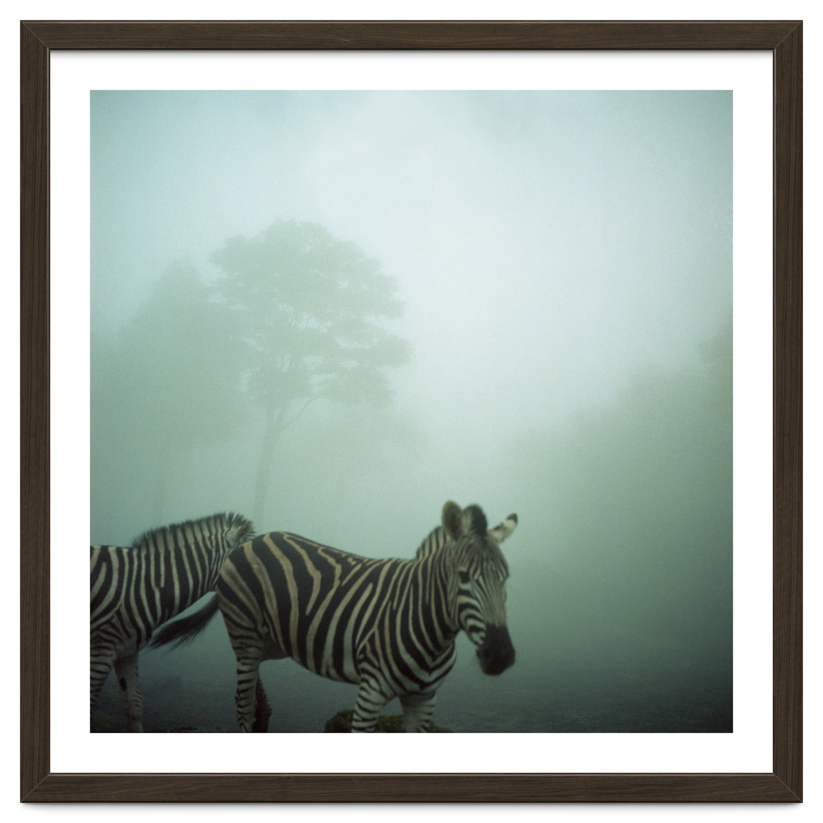 Silence of breath - 16