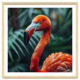 Close Up Of A Vibrant Orange Flamingo Bird thumbnail