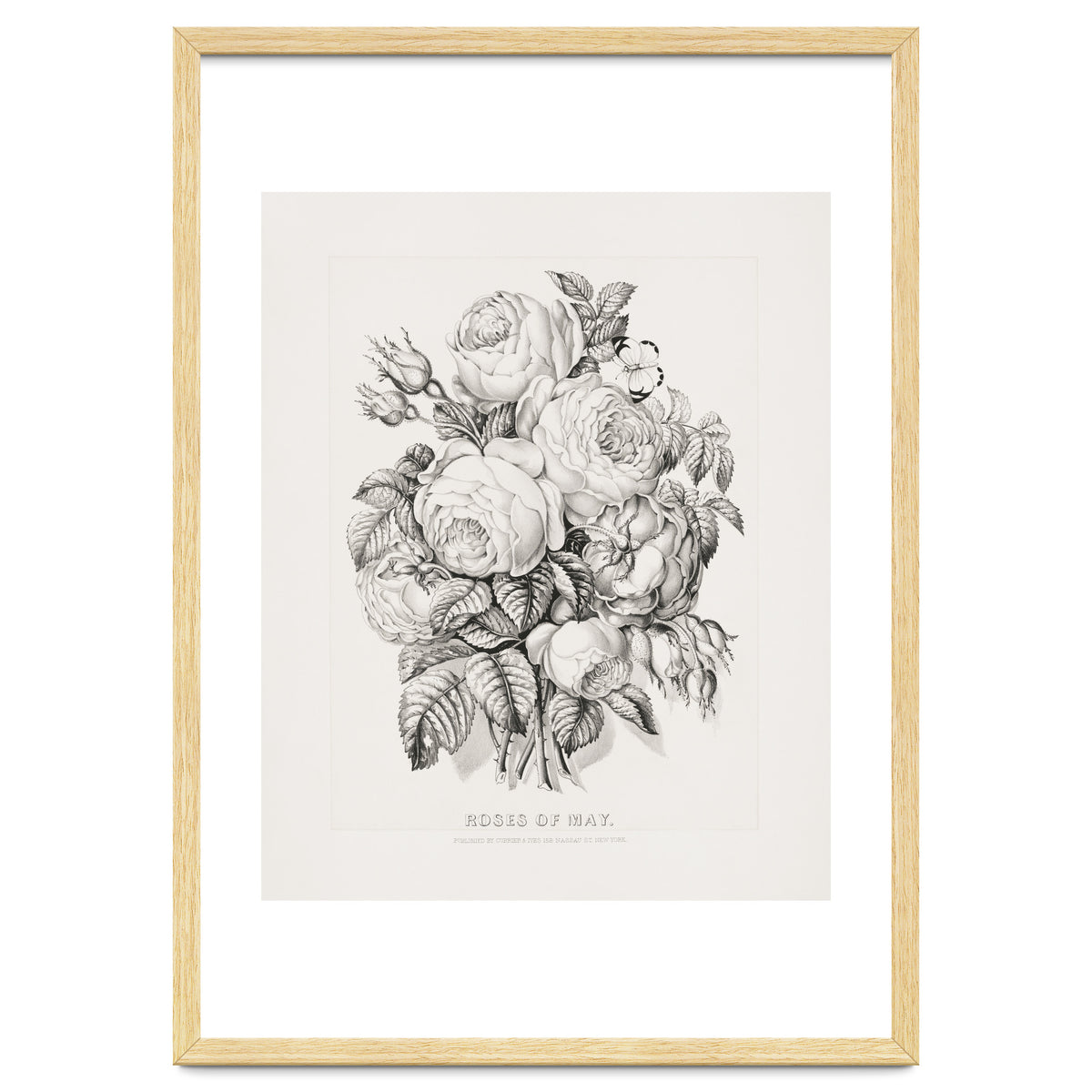 Currier & Ives – Rose of May (1870)