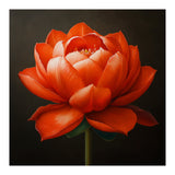 Double Lotus | Scarlet Solace (Print Only) thumbnail