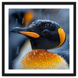 King Penguin Close Up In Snowfall thumbnail