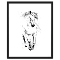 Runninh Ghorse In Water