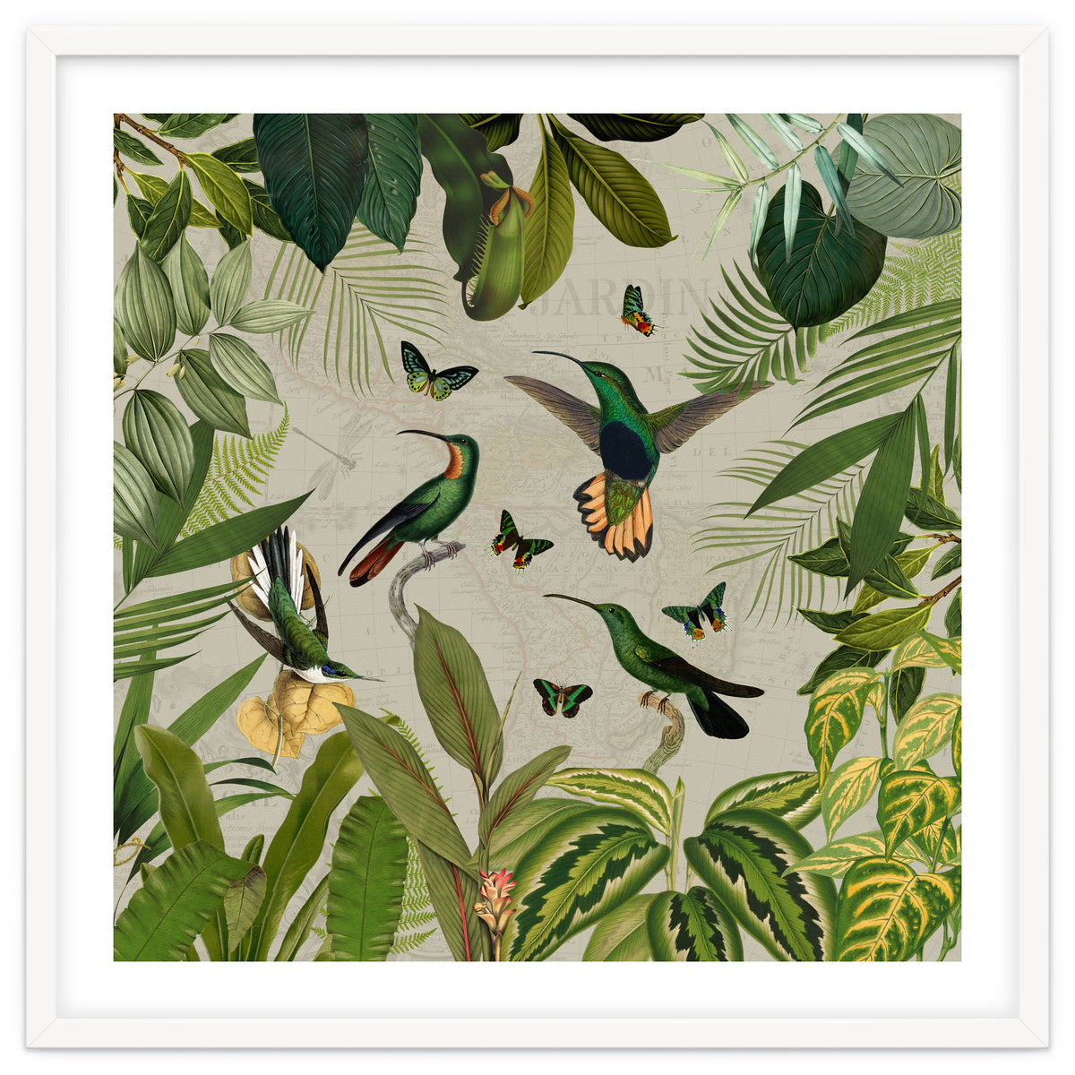 Vintage Exotic Hummingbirds Jungle