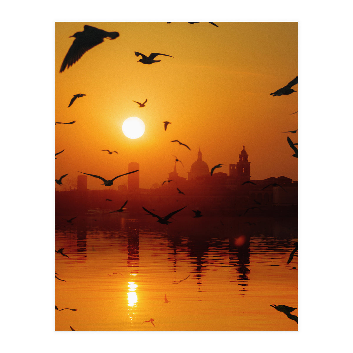 Charming Birds (Print Only)