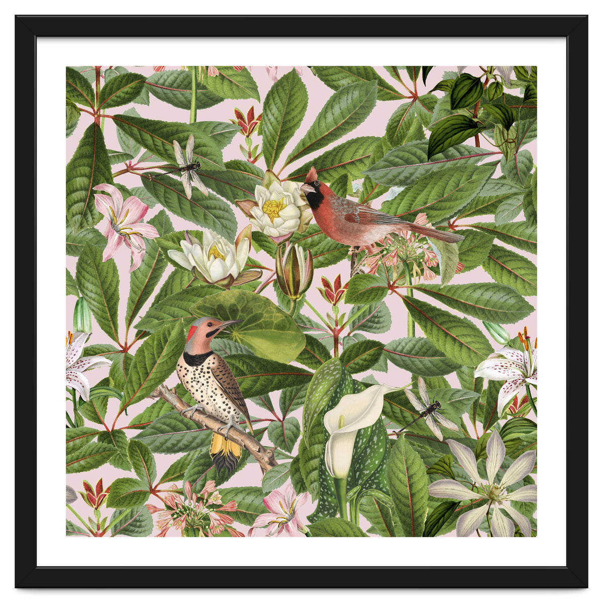 Tropical Bird Garden