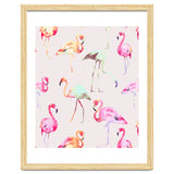 Flamingo Formation thumbnail