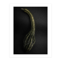 Gourds No 9 Color Version (Print Only)