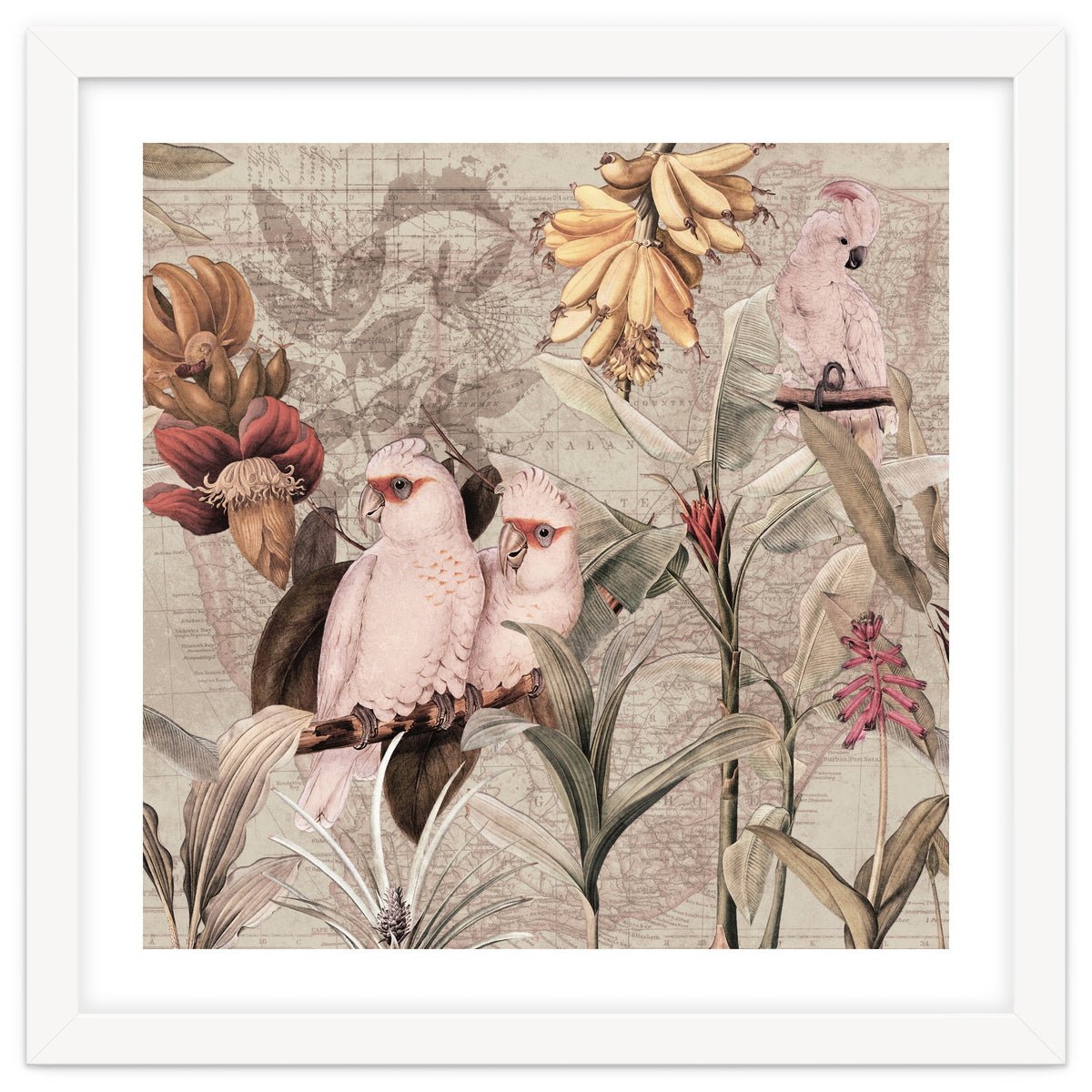 Cockatoo Exotic Bird Jungle