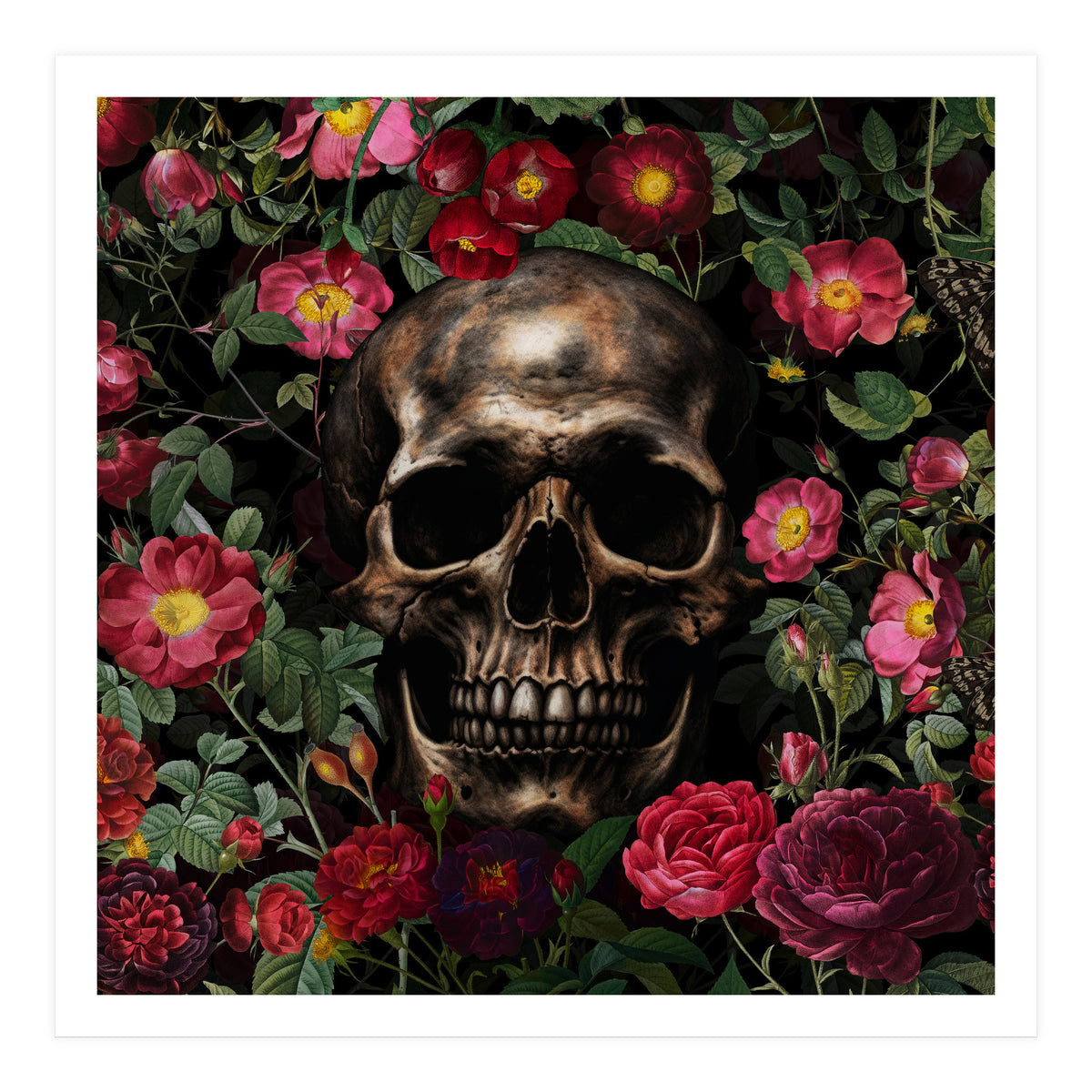 Baroque  Skull And Roses Night Garden 1 (Print Only)