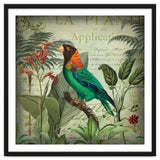 Tropical Bird Nostalgia thumbnail