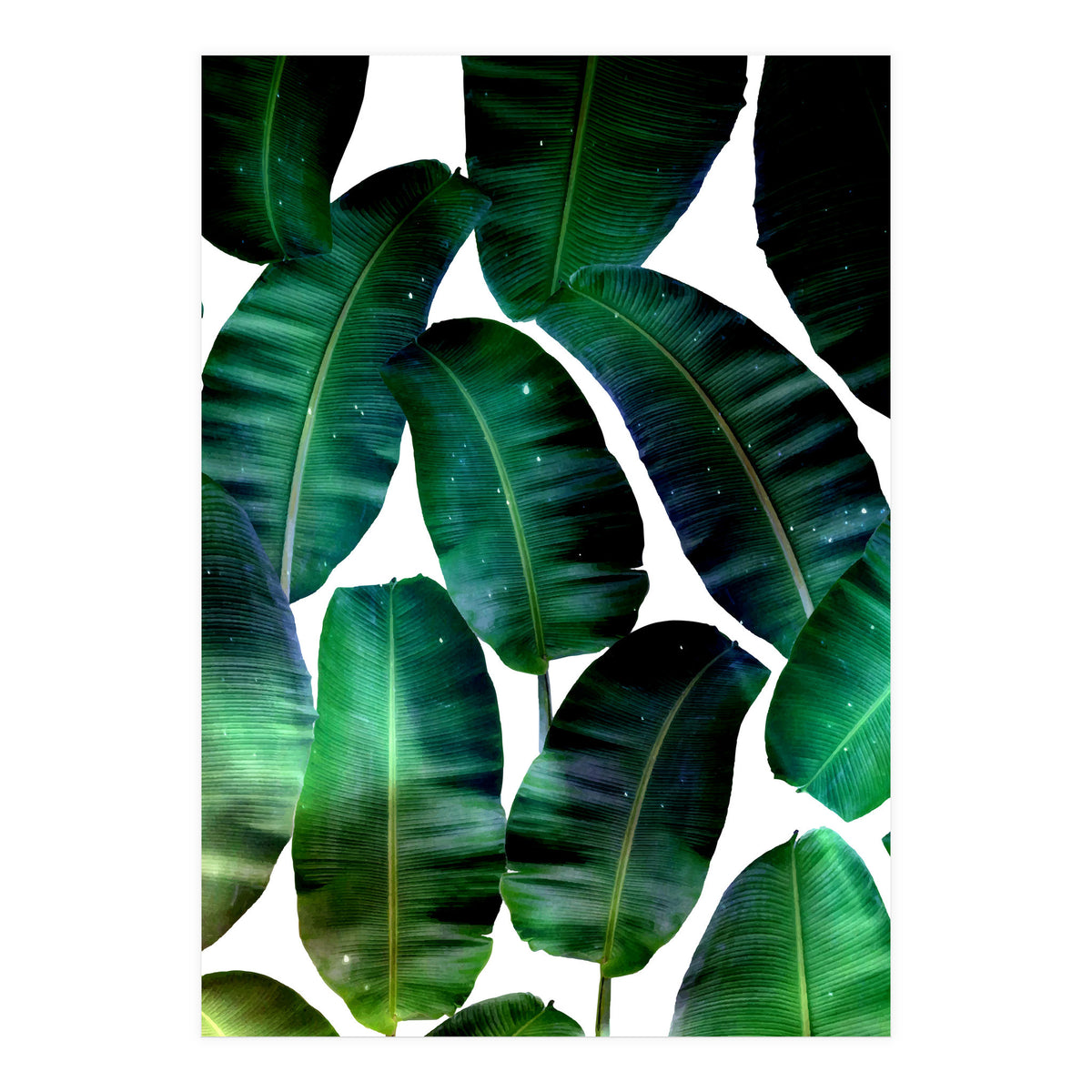 Cosmic Banana Leaves (Print Only)