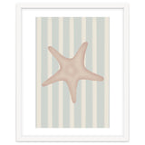 Starfish thumbnail