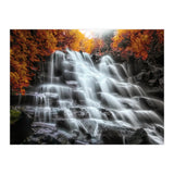 Into the woods (Print Only) thumbnail