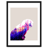 Macaw thumbnail