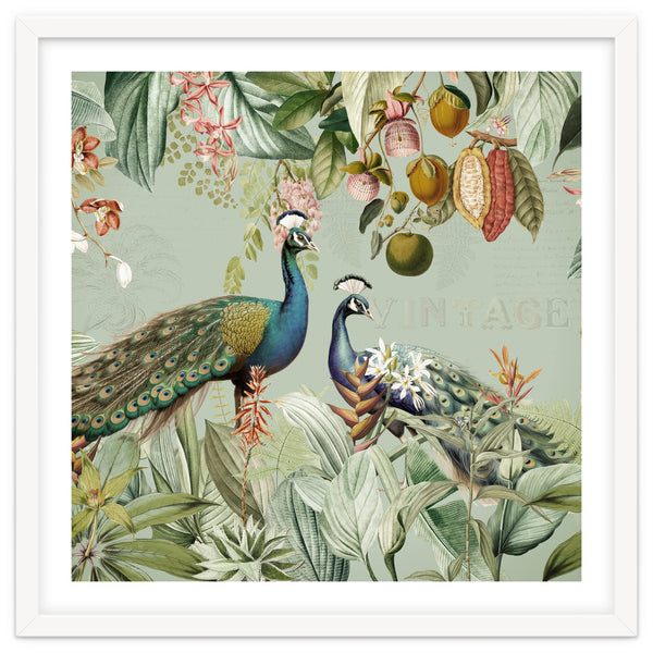 Vintage Exotic Asian Peacocks In Tropical Jungle Landscape