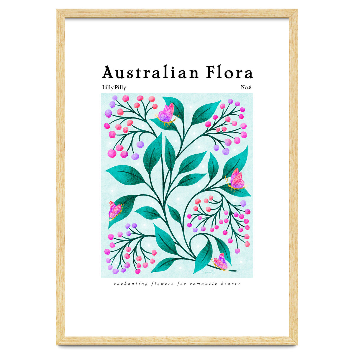 Australian Flora: Lilly Pilly