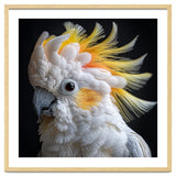 Beautiful Cockatoo Parrot Portrait Headshot thumbnail