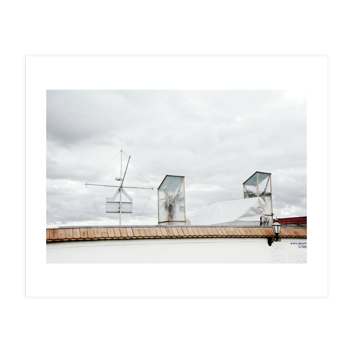 Palm tree waiting for summer (Print Only)