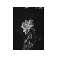 Romantic | Black & White (Print Only)