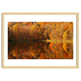 Autumn Reflections thumbnail