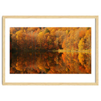 Autumn Reflections