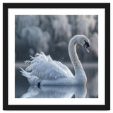 Majestic White Swan Gracefully Floating On Water thumbnail