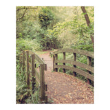 Path To The Bridge (Print Only) thumbnail