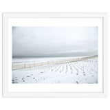 Winter grass in snow beach thumbnail