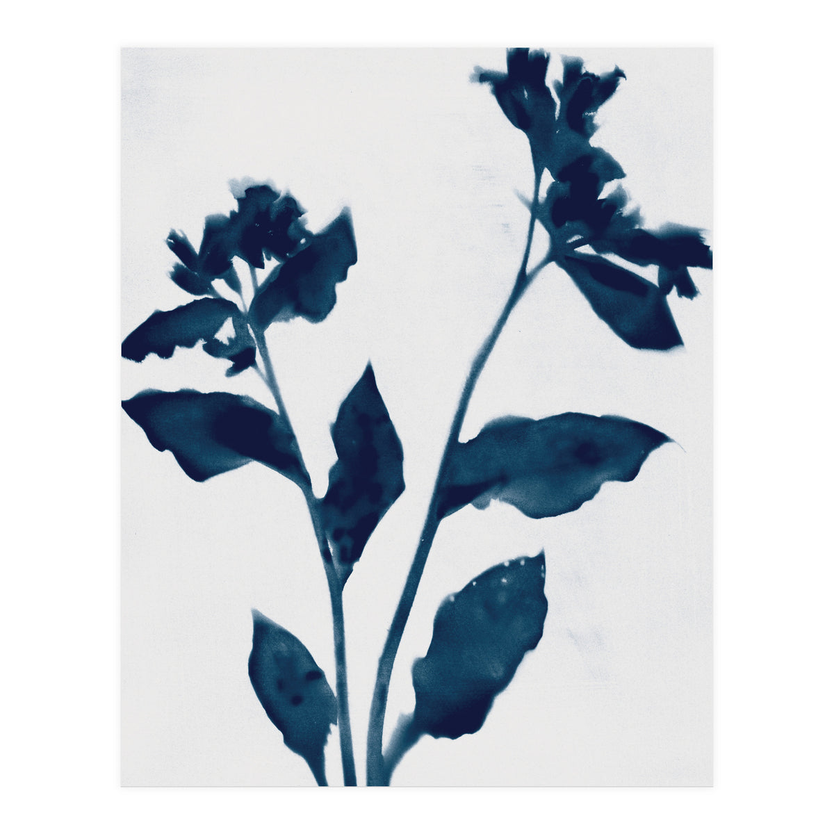 Indigo Blue Flower Silhouette 2 (Print Only)