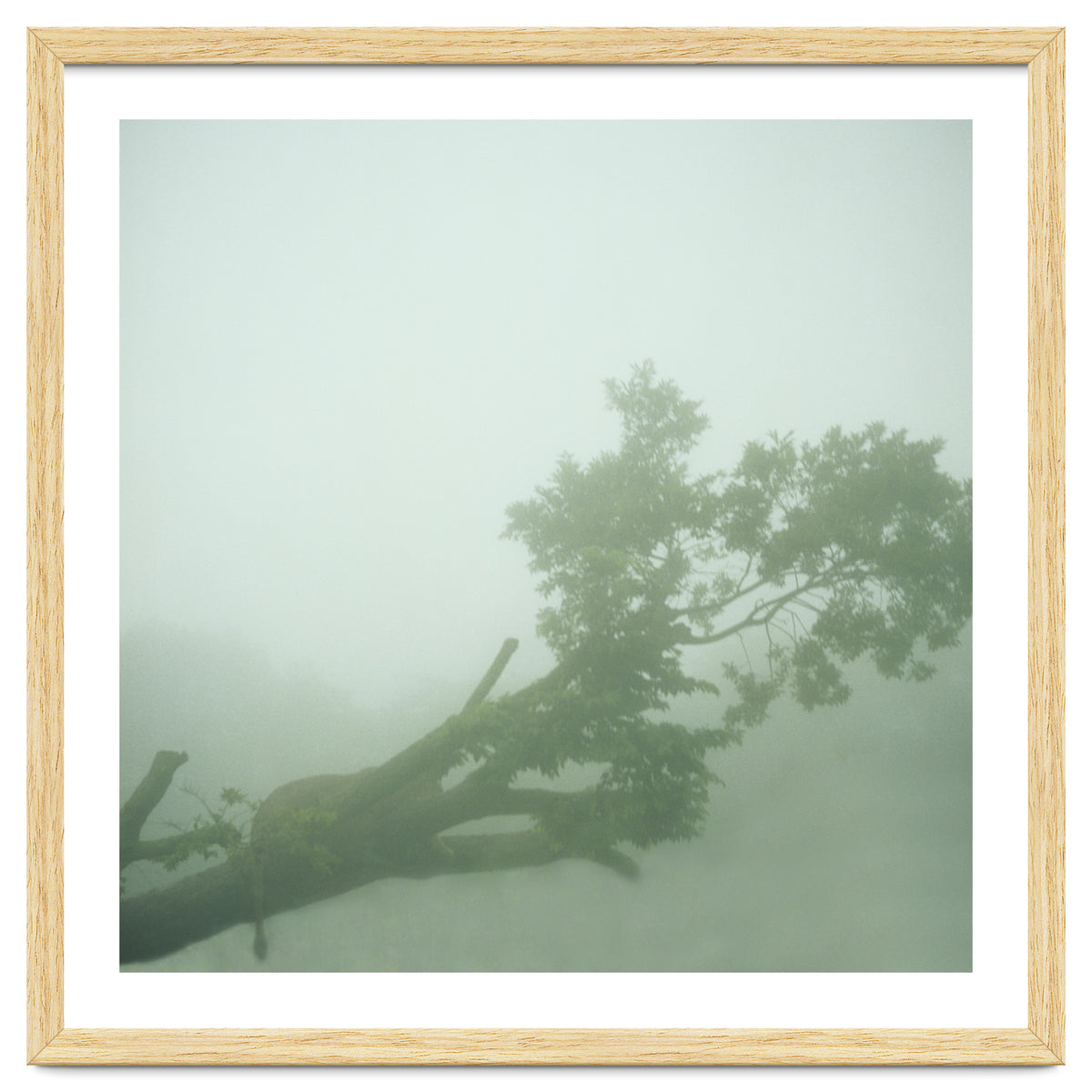 Silence of breath - 07