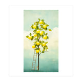 Lemon Tree  (Print Only) thumbnail