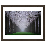 Cherry trees in the fog thumbnail
