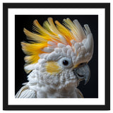 Close Up Of A Cockatoo With Yellow Crest thumbnail
