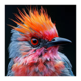 Close Up Of Exotic Bird With Vibrant Plumage (Print Only) thumbnail