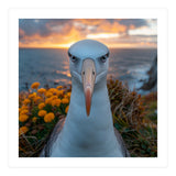 Albatross Bird With Intense Gaze By The Sea (Print Only) thumbnail