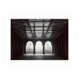 Levitation (Print Only) thumbnail