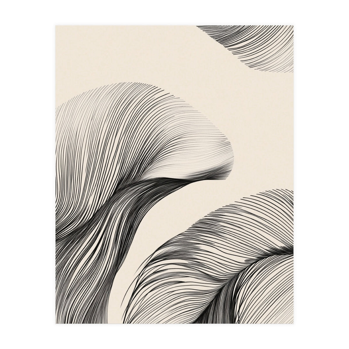 Black And White Flowing Lines Organic Shapes  (Print Only)