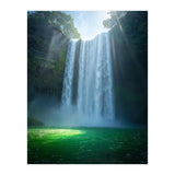 Lush Sun-Drenched Autumn Forest (Print Only) thumbnail