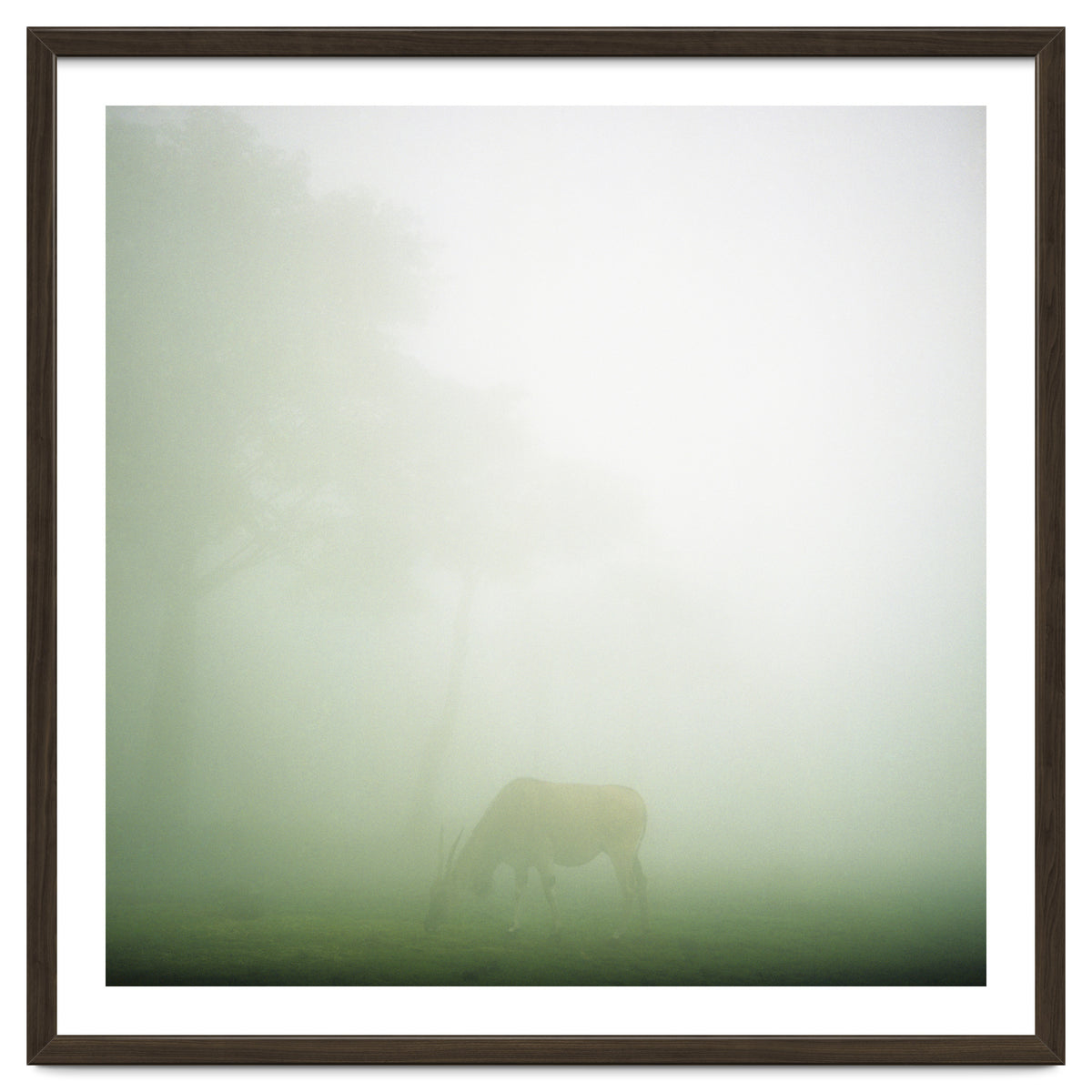 Silence of breath - 09