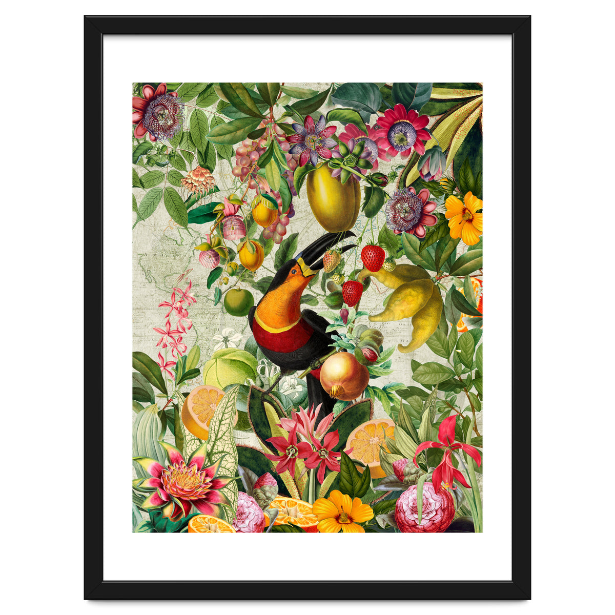 Toucan vintage jungle 1