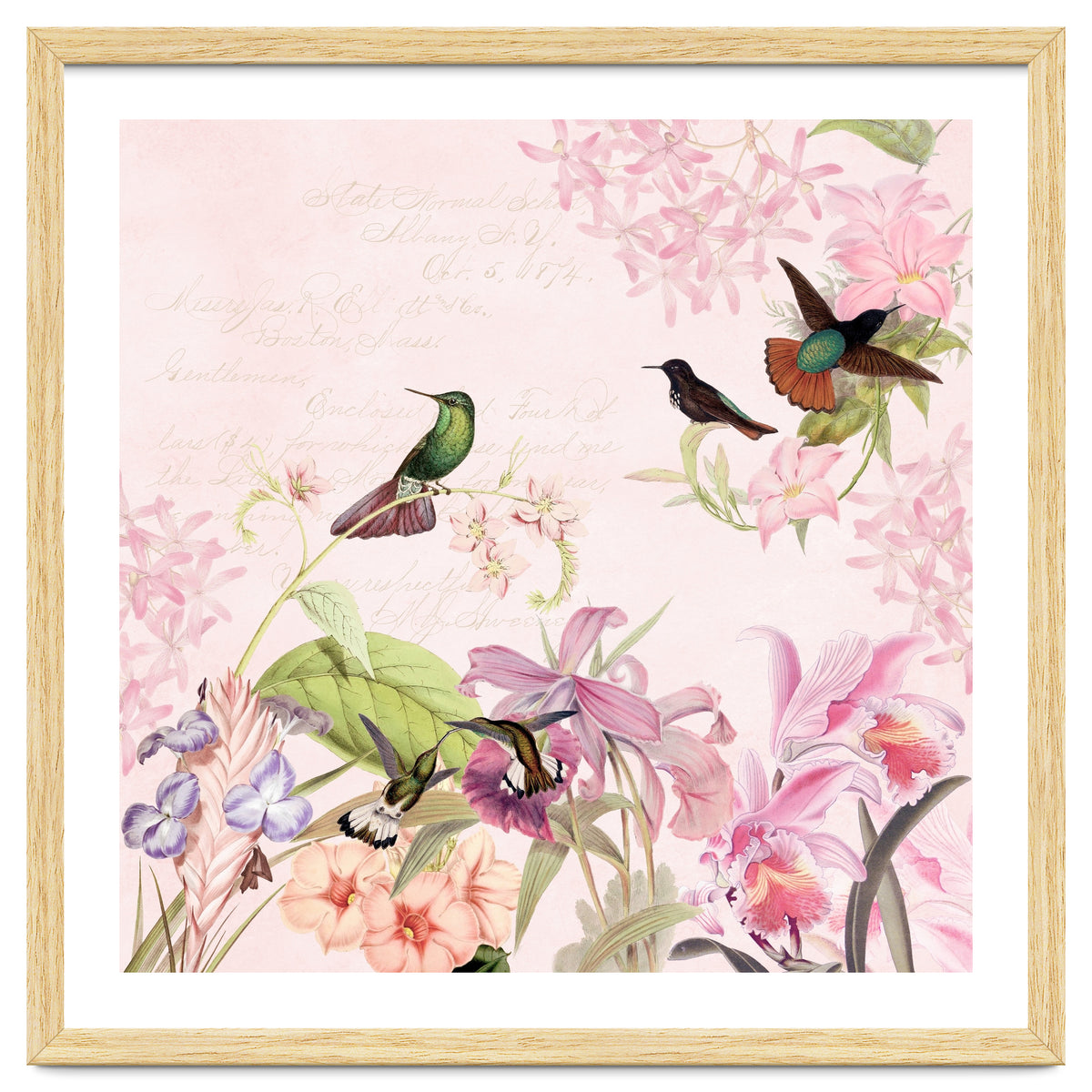 Hummingbirds in Flower Jungle