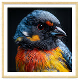 Close Up Of A Colorful Bird In The Wild thumbnail
