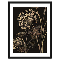 Wildflowers I