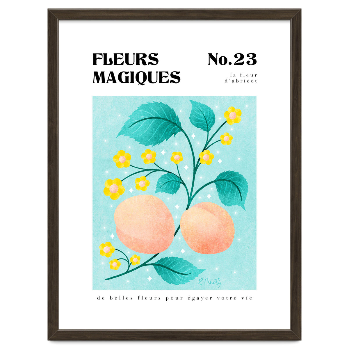 Magical Flowers No.23 Apricot Blossom