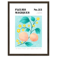 Magical Flowers No.23 Apricot Blossom